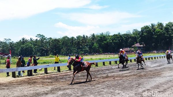 Melihat Keseruan Pacuan Kuda Danjen Kopassus Cup di Semarang