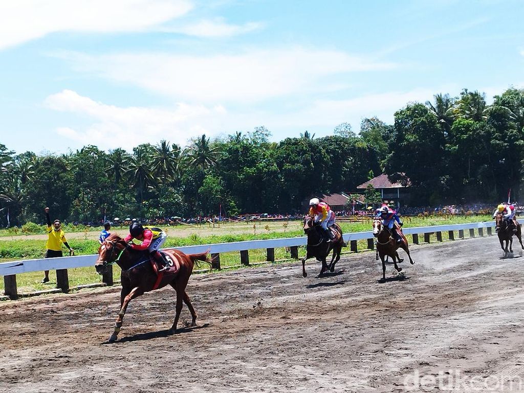 Melihat Keseruan Pacuan Kuda Danjen Kopassus Cup di Semarang