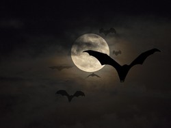 Polandia dan Italia Punya Ritual Cegah Vampir Bangkit dari Kubur