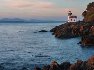 Kisah Babi yang Ditembak Mati Nyaris Picu Perang Inggris-AS