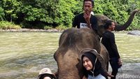 Momen Keseruan Main Bareng Gajah di Little Afrika Aceh