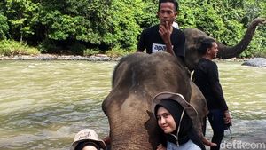 Momen Keseruan Main Bareng Gajah di Little Afrika Aceh