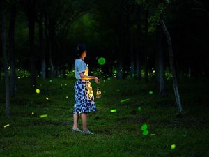 Kelap-kelip Kunang-kunang di Gelapnya Malam China, Lucu Banget