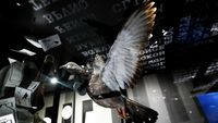 Mengintip Alat Mata-mata Intelijen AS di Museum CIA