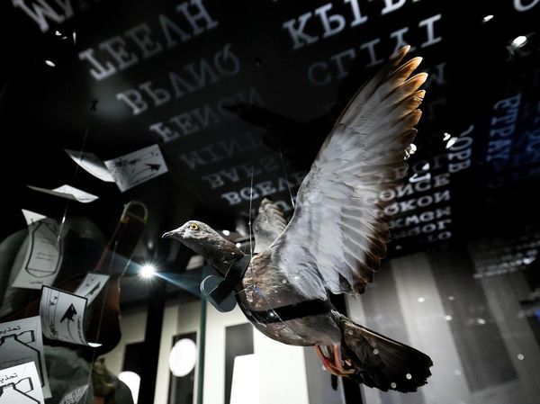 Mengintip Alat Mata-mata Intelijen AS di Museum CIA