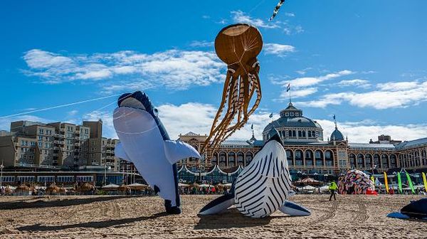 Meriahnya Langit Belanda Dipenuhi Paus-Gurita Terbang