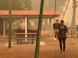 Penelitian Tunjukkan Australia Lebih Perhatikan Hewan Ketimbang Anak-anak Saat Situasi Darurat