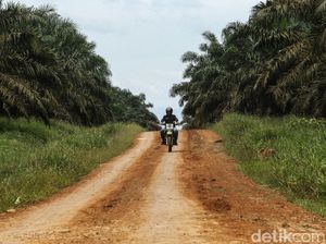 Perjuangan Mantri BRI Tembus Hutan Sawit Kalimantan Perjuangan Mantri BRI Tembus Hutan Sawit Kalimantan
