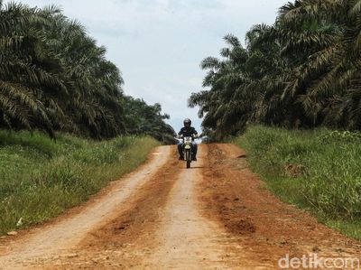 Perjuangan Mantri BRI Tembus Hutan Sawit Kalimantan