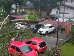 Pohon Tumbang Timpa 3 Mobil yang Terparkir di RSUP Adam Malik