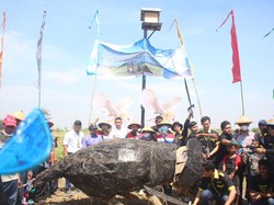 Petani Kedelai Sidoarjo Dirikan Rumah Burung Hantu Atasi Hama Tikus