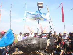 Petani Kedelai Sidoarjo Dirikan Rumah Burung Hantu Atasi Hama Tikus Petani Kedelai Sidoarjo Dirikan Rumah Burung Hantu Atasi Hama Tikus