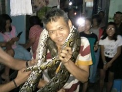 Hiii...! Sanca 6 Meter Bersarang di Saluran Air Bikin Heboh Warga Bogor