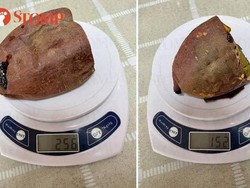 Getok Harga Ubi Panggang, Beda Ukuran Ditagih Harga Sama