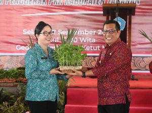 Cegah Inflasi Akhir Tahun, Perusda Tabanan Sebar 16.300 Bibit Cabai