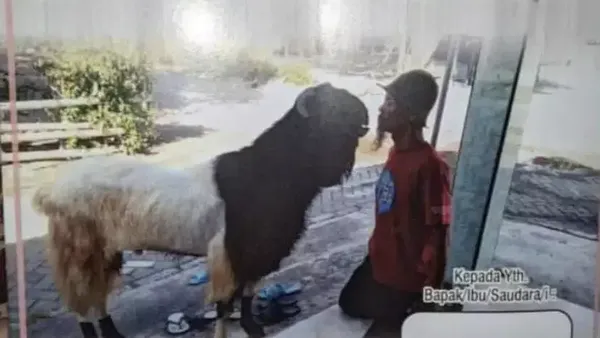 8 Foto Kocak di Undangan Ini Bikin Lihat 2 Kali Sambil Senyum-senyum Sendiri