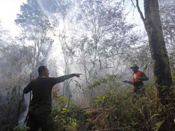 Gunung Ciremai Kebakaran Sejak Minggu, Hingga Kini Belum Padam