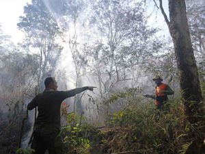 Gunung Ciremai Kebakaran Sejak Minggu, Hingga Kini Belum Padam Gunung Ciremai Kebakaran Sejak Minggu, Hingga Kini Belum Padam