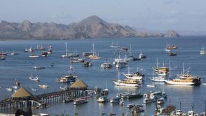 Kunjungan Turis Meningkat, Labuan Bajo Penuh Kapal Pinisi