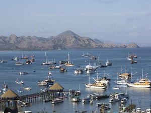 Kapal Pinisi di Perairan Labuan Bajo Dibidik Retribusi Kapal Pinisi di Perairan Labuan Bajo Dibidik Retribusi