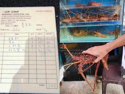 Duh! Pelanggan Bermobil Mewah Kabur Tak Bayar Makanan Rp 3,5 Juta