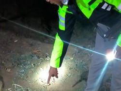 Kakek Ditemukan Tewas di Kebun Jeruk Pasuruan, Diduga Korban Pembunuhan