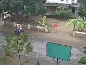 Pura-pura Minta Mangga, Duo Penjambret Rampas Kalung Nenek-nenek Pura-pura Minta Mangga, Duo Penjambret Rampas Kalung Nenek-nenek