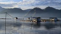Terbuai Indahnya Danau Laut Tawar di Takengon Aceh