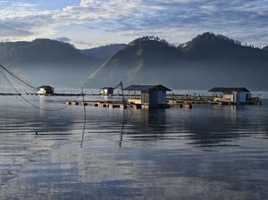 Terbuai Indahnya Danau Laut Tawar di Takengon Aceh