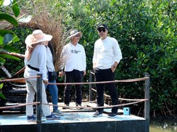 Mangrove Gunung Anyar-Medokan Ayu Bakal Punya Jet Sky-Auditorium