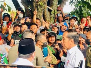 Begini Hebohnya Warga Ternate Sambut Jokowi, Ada yang Panjat Pohon!