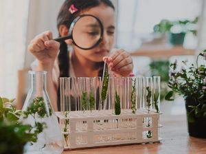 Apakah Kunci Determinasi? Ini Penjelasan serta Contoh pada Hewan dan Tumbuhan