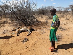 Ratusan Juta Anak-anak di 23 Negara Rentan Terpapar Panas Ekstrem