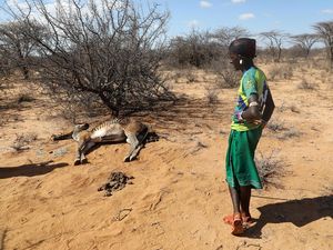 Ratusan Juta Anak-anak di 23 Negara Rentan Terpapar Panas Ekstrem Ratusan Juta Anak-anak di 23 Negara Rentan Terpapar Panas Ekstrem