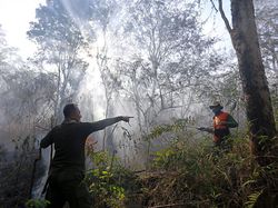 Penampakan Api yang Membakar Hutan di Gunung Ciremai