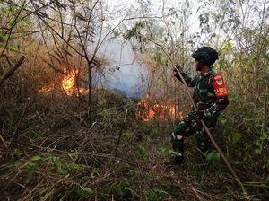 Awas! Jangan Buka Lahan Sembarangan di TN Gunung Ciremai Awas! Jangan Buka Lahan Sembarangan di TN Gunung Ciremai