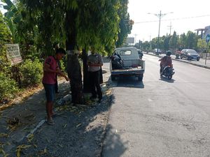 Pemotor Lansia Tewas Tabrak Pohon di Madiun Pemotor Lansia Tewas Tabrak Pohon di Madiun