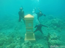 Keren! Ada Kotak Pos di Dasar Laut Grand Watudodol Banyuwangi
