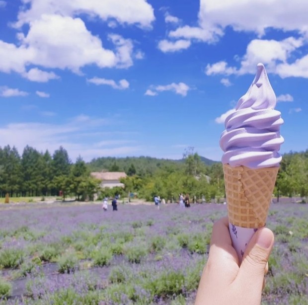 Ilustrasi Lavender Ice Cream