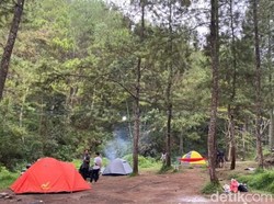 Demi Kelestarian Gunung Kawi, Jumlah Wisatawan Bedengan Malang Dibatasi