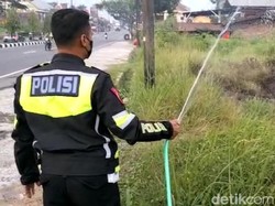 Asap Tebal Pembakaran Semak Sempat Ganggu Pengguna Jalan di Klaten