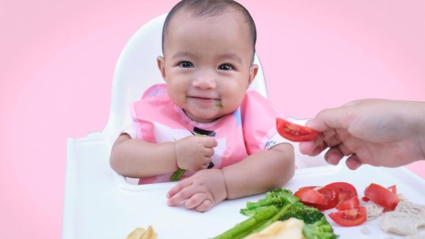 Cute Asian baby girl eating by hands, Little baby eating organic vegetables with BLW method, baby led weaning, Infant eating healthy food isolated on pink background with clipping path, Self Feeding