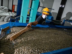 Jurus Supaya Kopi Aceh Bisa Terbang ke Luar Negeri