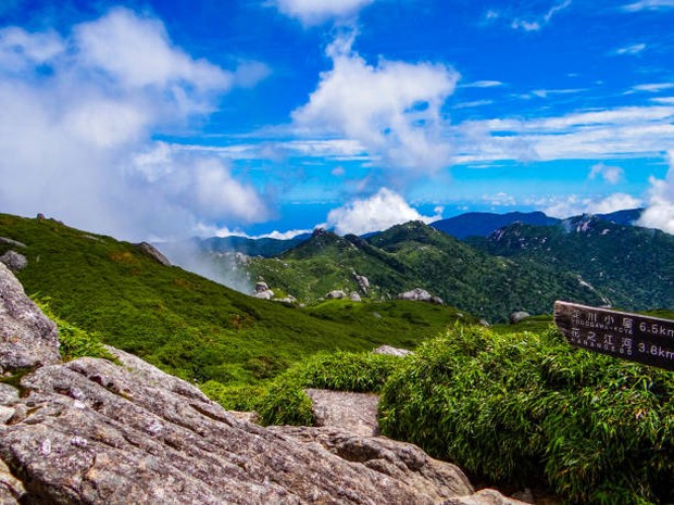 Ilustrasi Yakushima/Foto: iStockphoto.com Yakushima