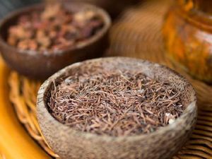 Bikin Puluhan Emak-emak Kelenger, Pedagang Jamu di Bima Tak Ditahan Bikin Puluhan Emak-emak Kelenger, Pedagang Jamu di Bima Tak Ditahan