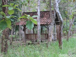 Menyusuri Jejak Rumah Masa Kecil Kolonel Sugiyono di Gunungkidul