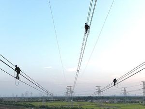 Berani Banget, Aksi Teknisi Pemelihara Kabel Listrik di Ketinggian China