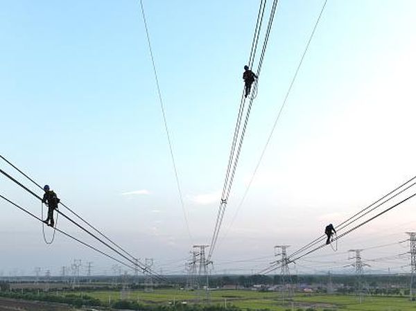 Berani Banget, Aksi Teknisi Pemelihara Kabel Listrik di Ketinggian China