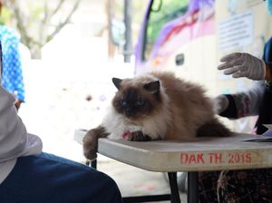 Pemkab Garut Gelar Vaksinasi Hewan Gratis, Target Bebas Rabies di 2030