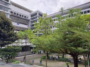 5 Universitas di Indonesia Ini Punya Hutan di Dalam Kampus, Ada UI-UGM 5 Universitas di Indonesia Ini Punya Hutan di Dalam Kampus, Ada UI-UGM